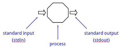 A Process with Standard Input and Output
